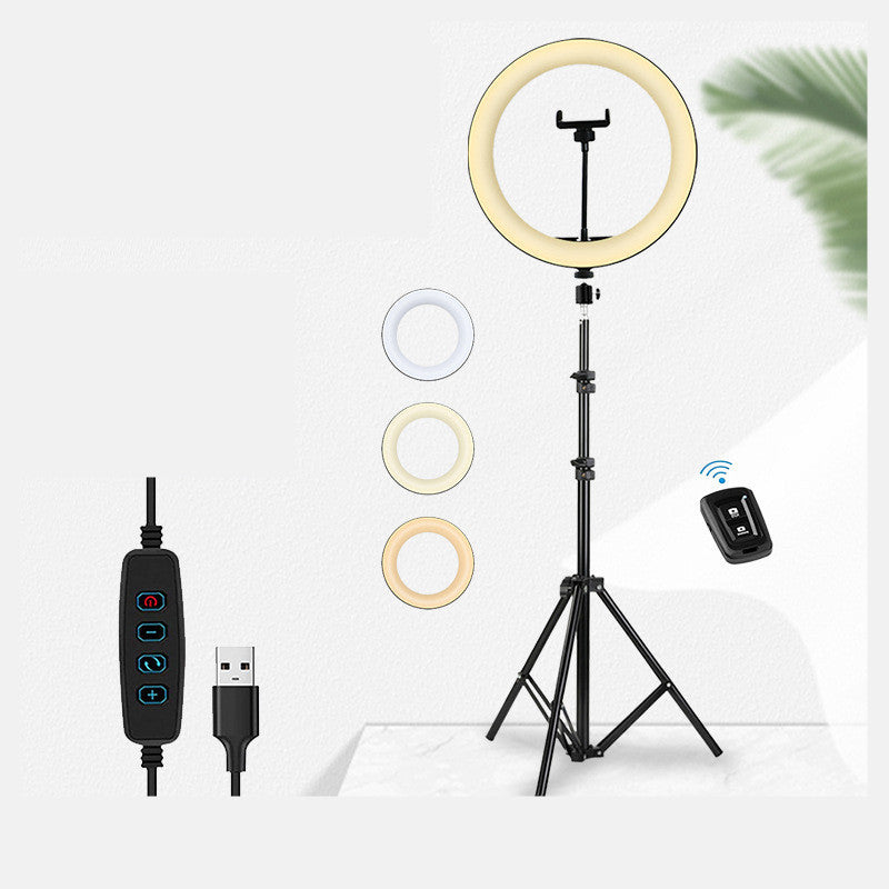 Live Broadcast Fill Light